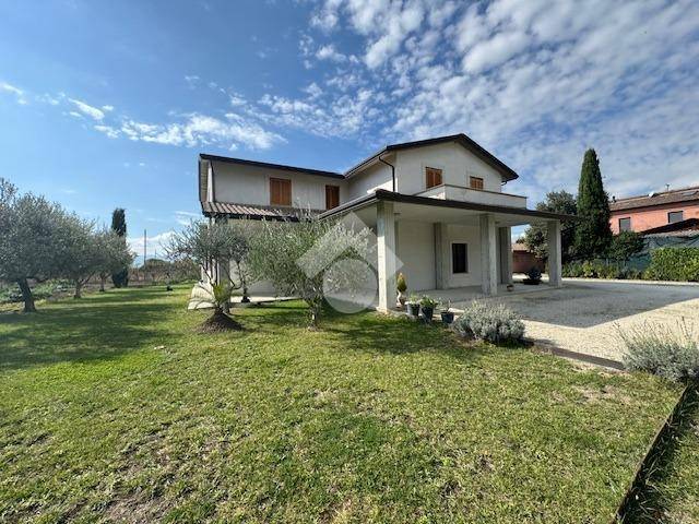 immagine annuncio 11 di 14