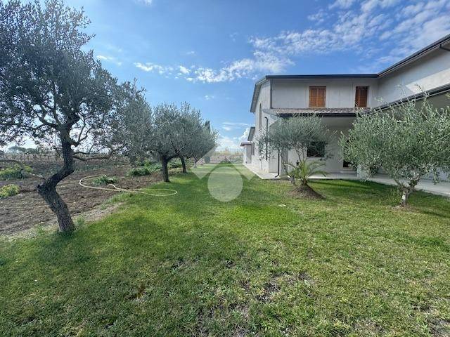 immagine annuncio 12 di 14