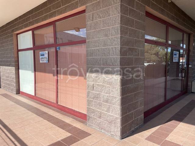 immagine annuncio 2 di 8