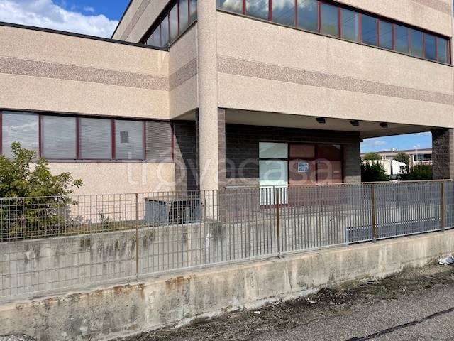 immagine annuncio 6 di 8