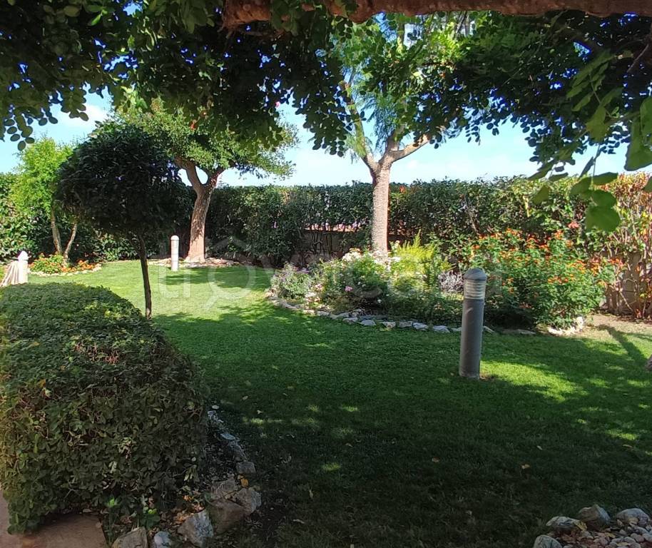 immagine annuncio 7 di 14