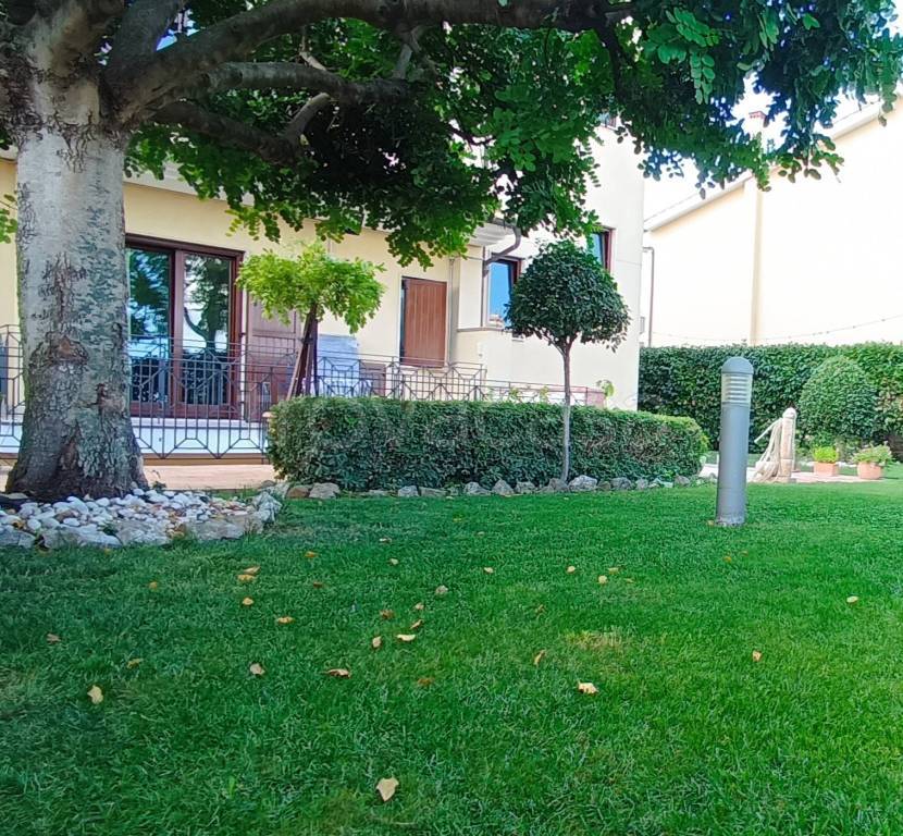 immagine annuncio 2 di 14