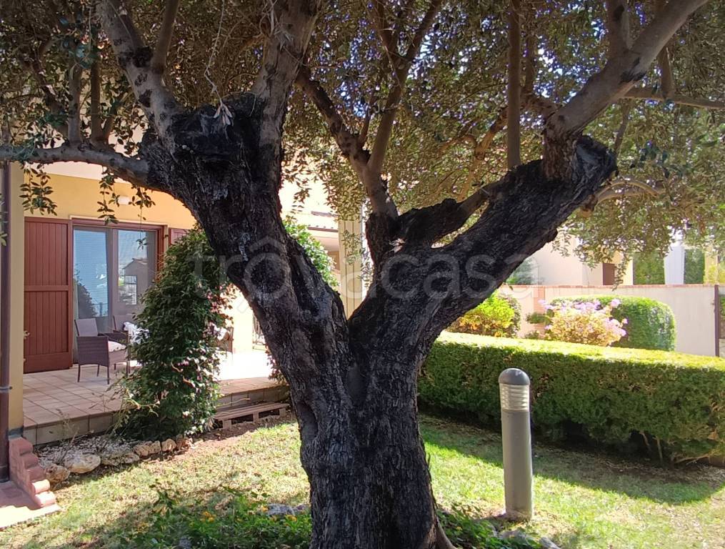 immagine annuncio 11 di 14