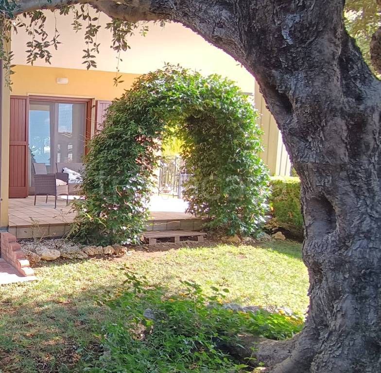 immagine annuncio 12 di 14