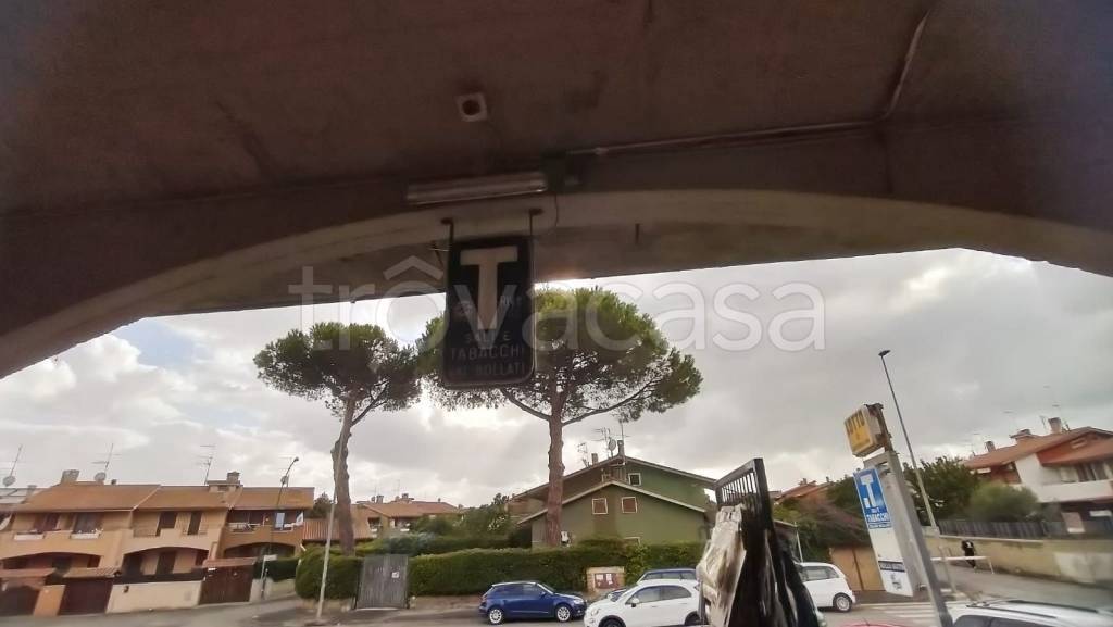 immagine annuncio 5 di 6