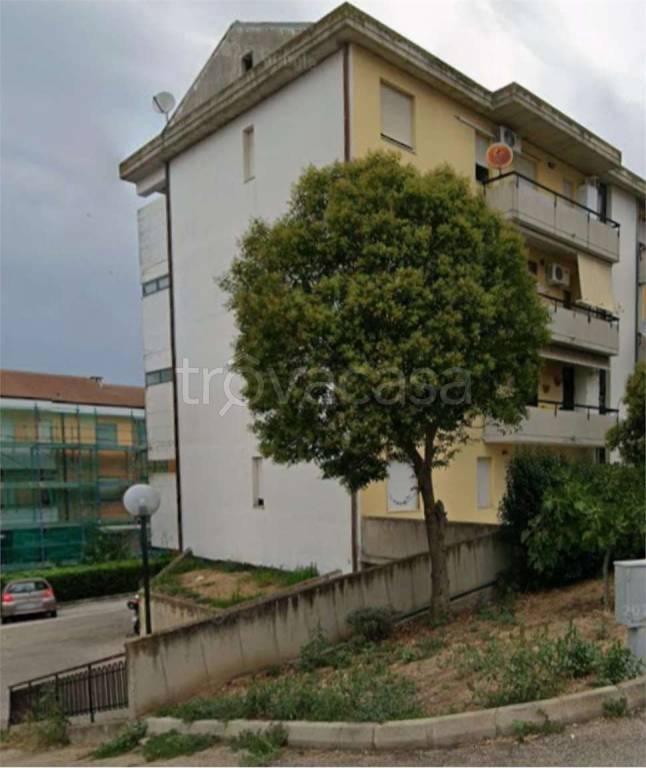 immagine annuncio 9 di 15