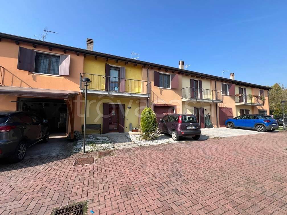 immagine annuncio 2 di 15