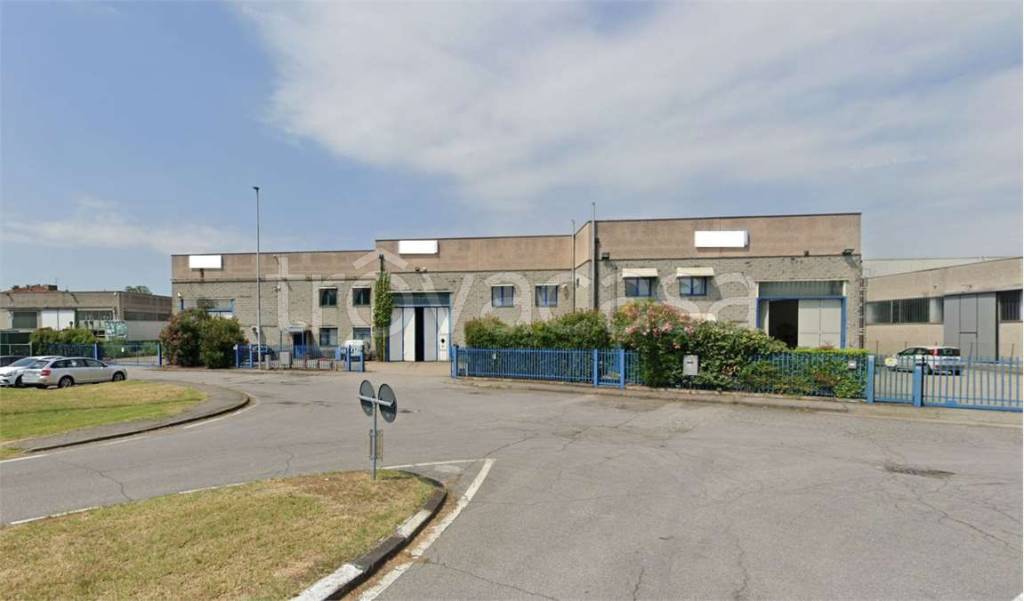 immagine annuncio 8 di 15