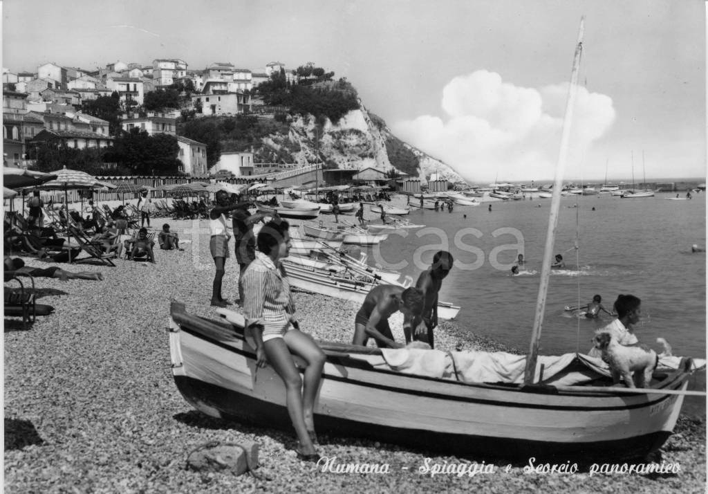 immagine annuncio 10 di 15