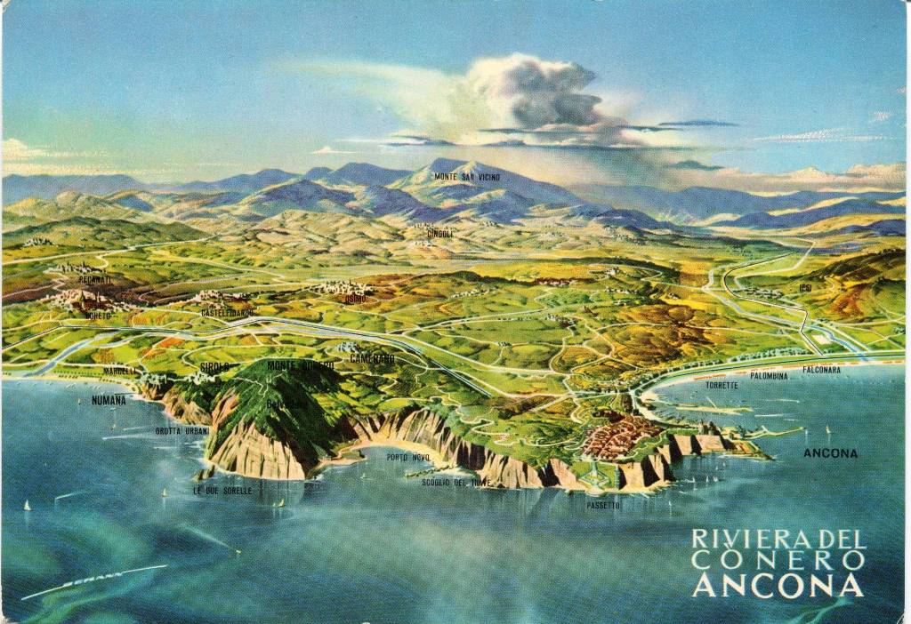 immagine annuncio 14 di 15