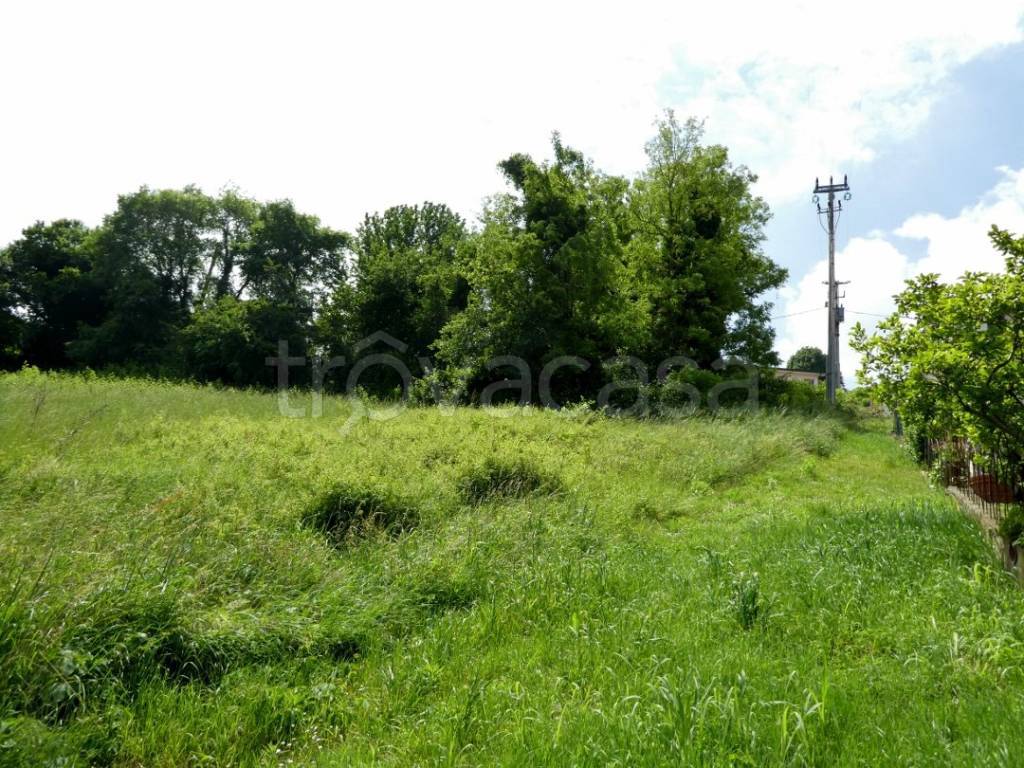 immagine annuncio 5 di 12