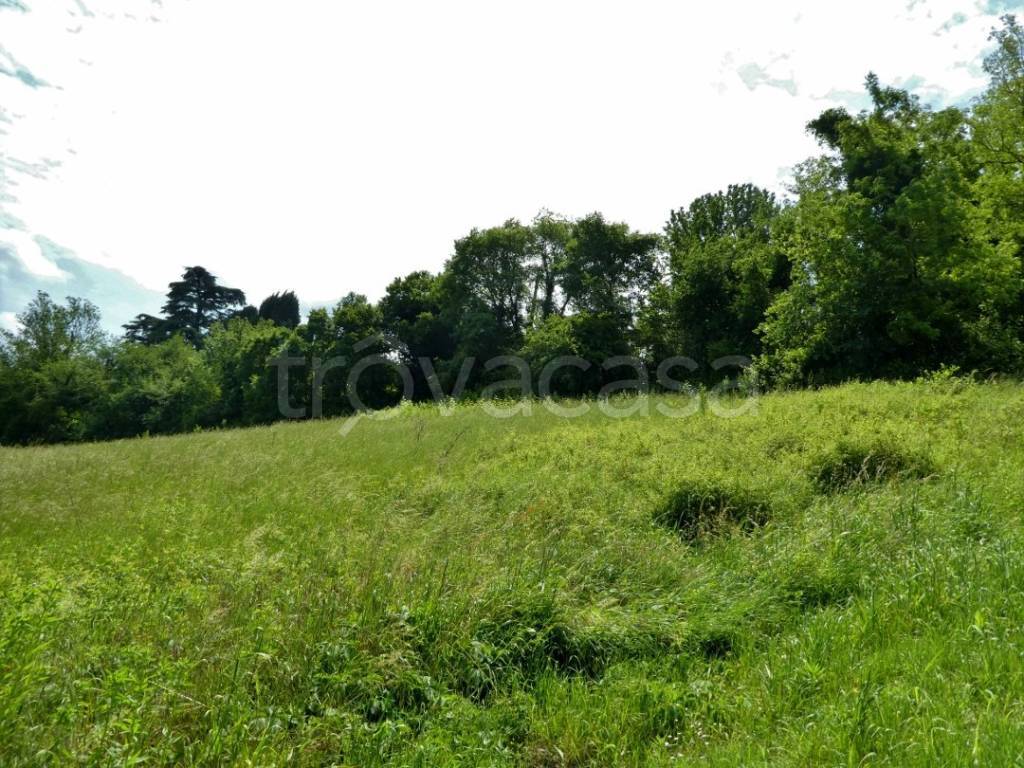 immagine annuncio 6 di 12