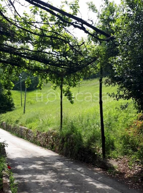 immagine annuncio 8 di 12