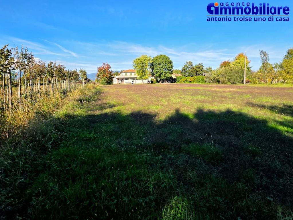 immagine annuncio 1 di 6