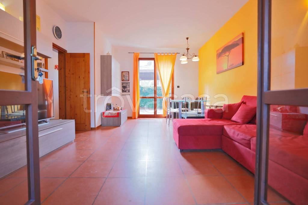 immagine annuncio 11 di 15