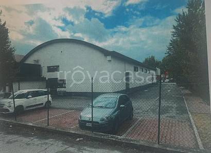 immagine annuncio 4 di 7