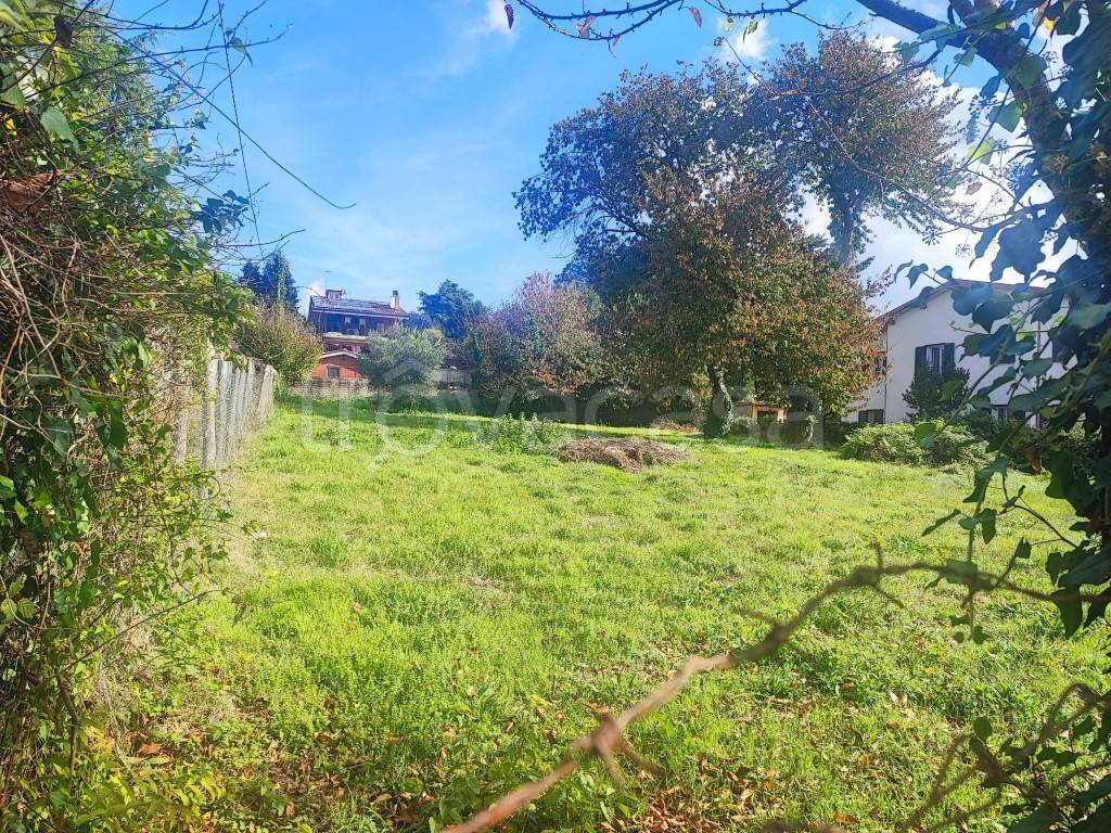 immagine annuncio 3 di 7