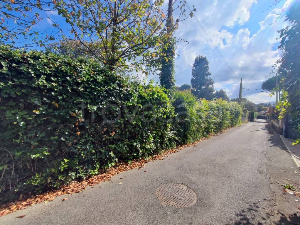 immagine annuncio 4 di 7