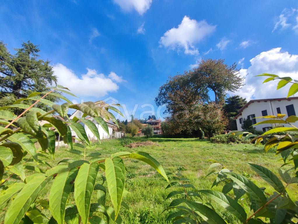 immagine annuncio 5 di 7