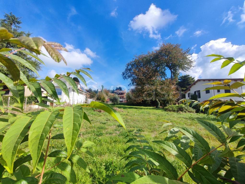 immagine annuncio 6 di 7