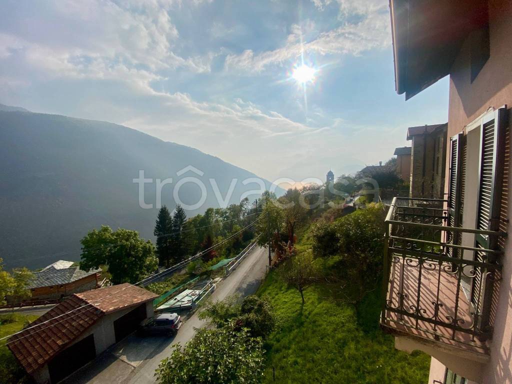 immagine annuncio 5 di 6