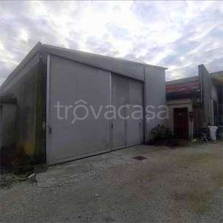 immagine annuncio 2 di 14