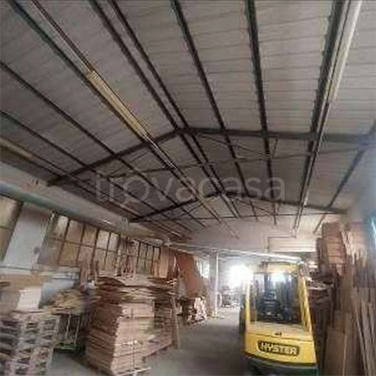 immagine annuncio 4 di 14