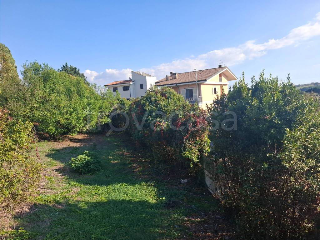 immagine annuncio 2 di 3