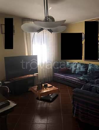 immagine annuncio 6 di 14