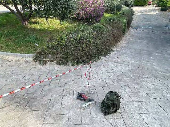 immagine annuncio 8 di 15