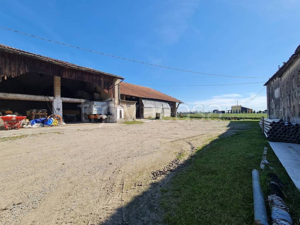 immagine annuncio 7 di 15