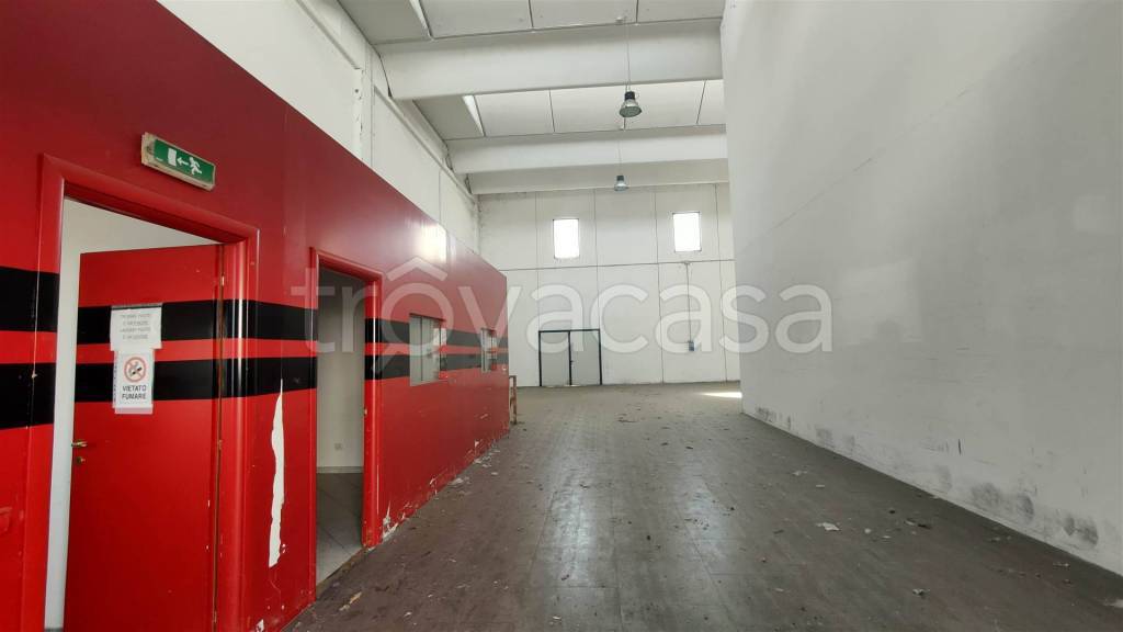 immagine annuncio 10 di 15