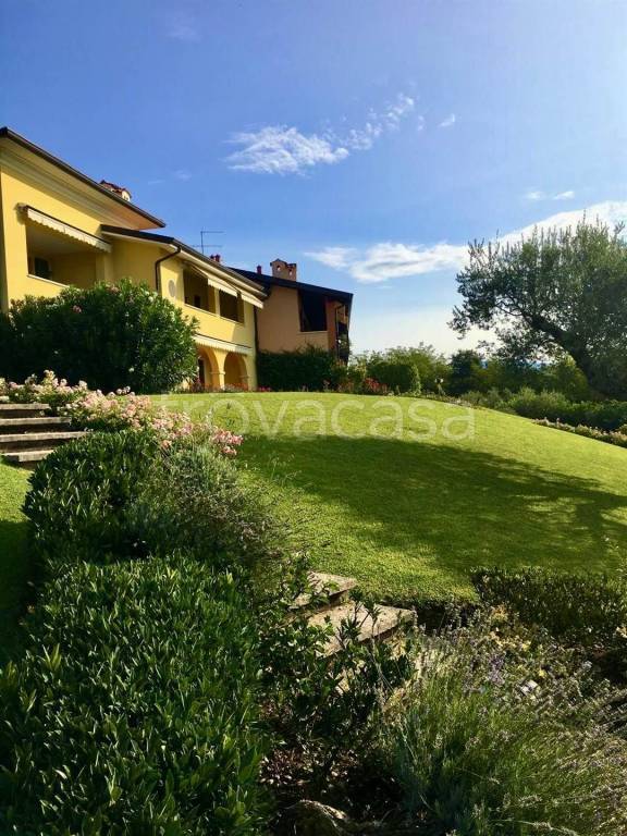 immagine annuncio 7 di 13