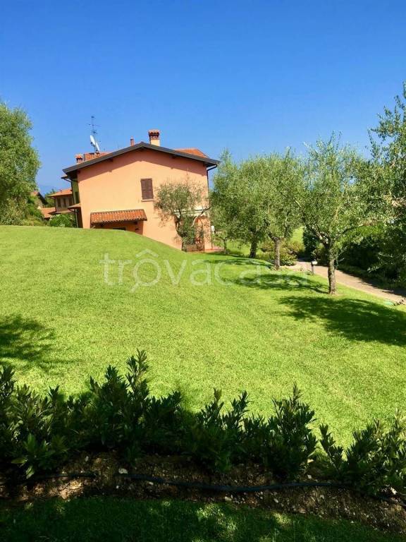 immagine annuncio 9 di 13