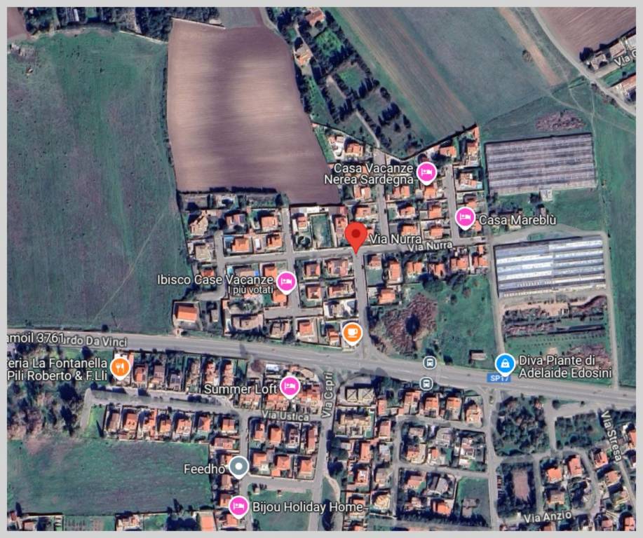 immagine annuncio 12 di 15