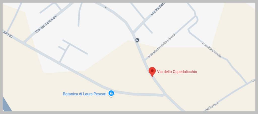 immagine annuncio 13 di 15