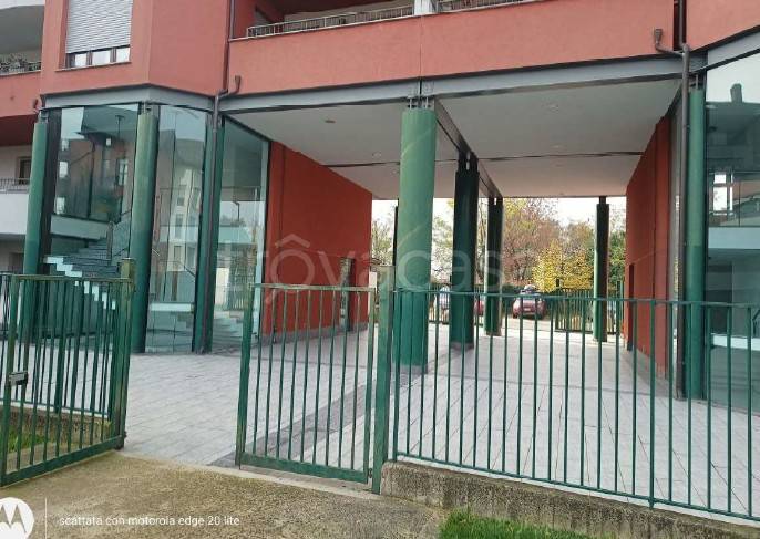 immagine annuncio 9 di 15