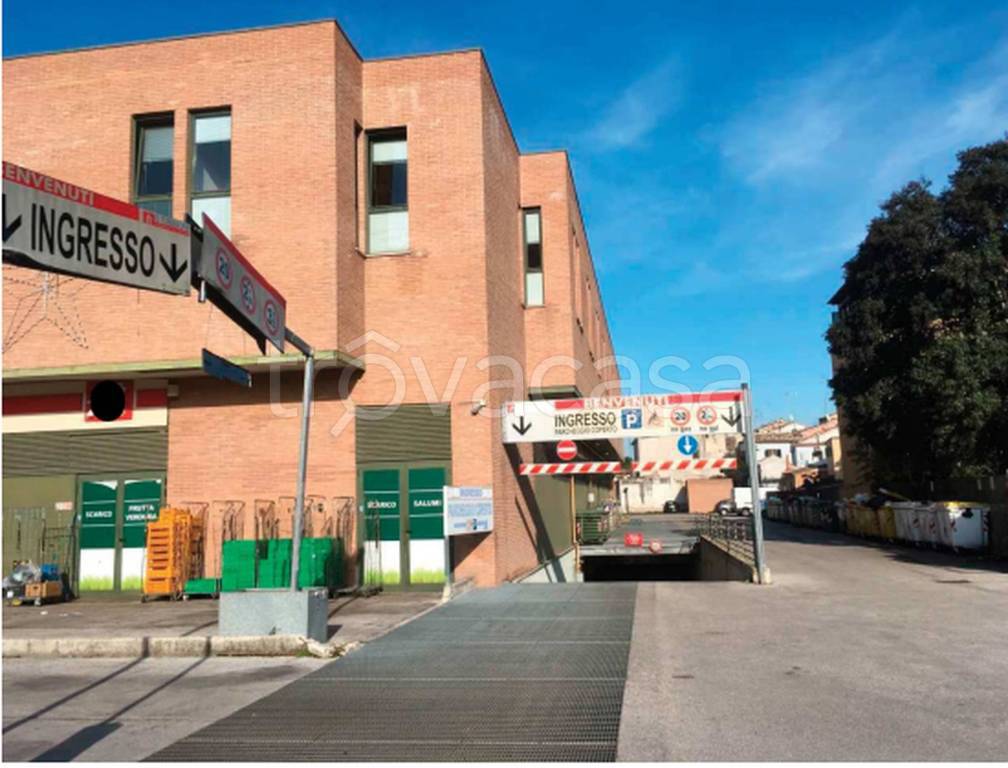 immagine annuncio 7 di 12