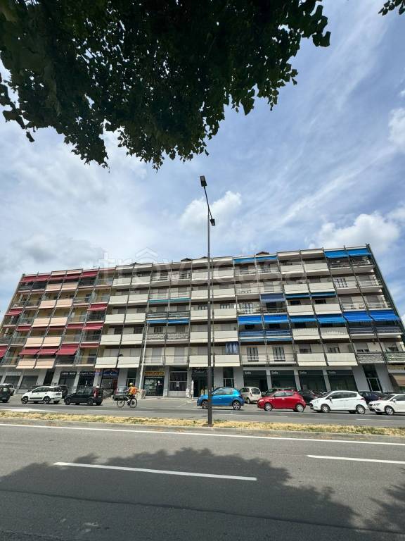 immagine annuncio 12 di 13