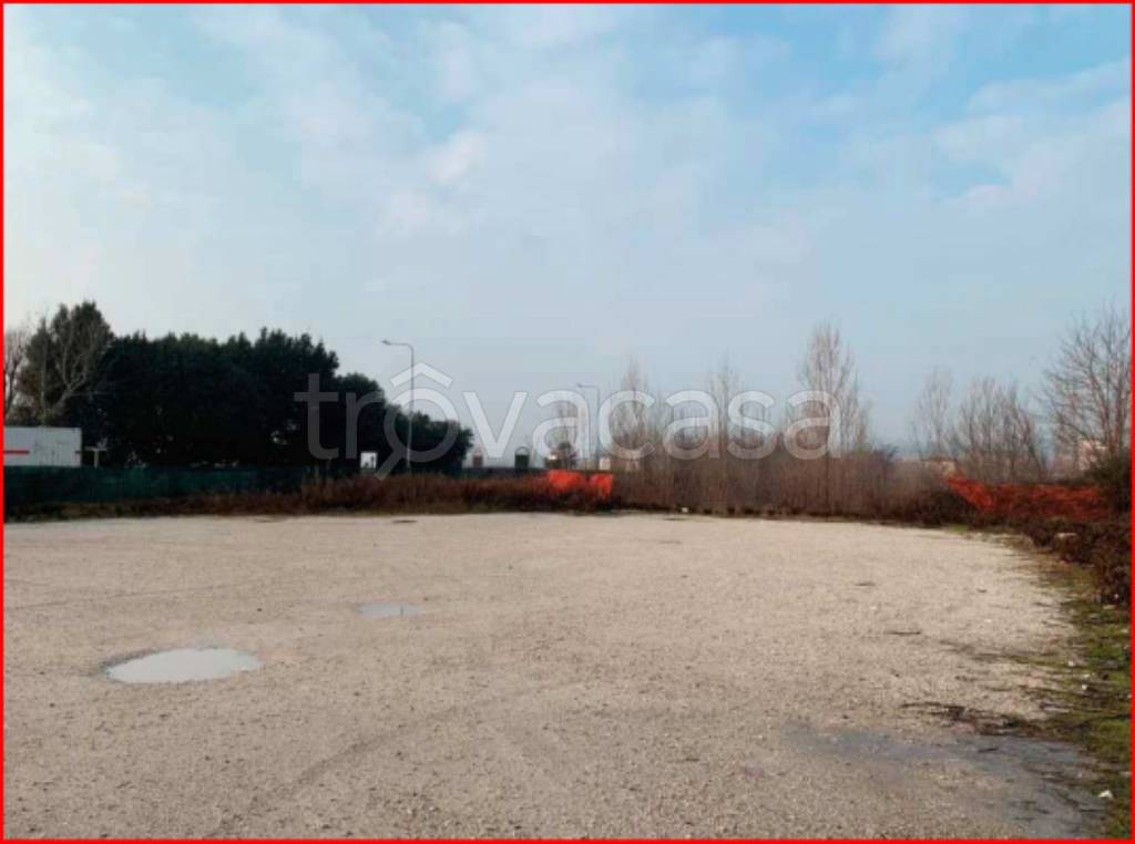 immagine annuncio 2 di 12