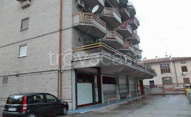 immagine annuncio 8 di 14