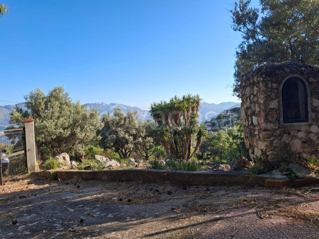 immagine annuncio 3 di 12