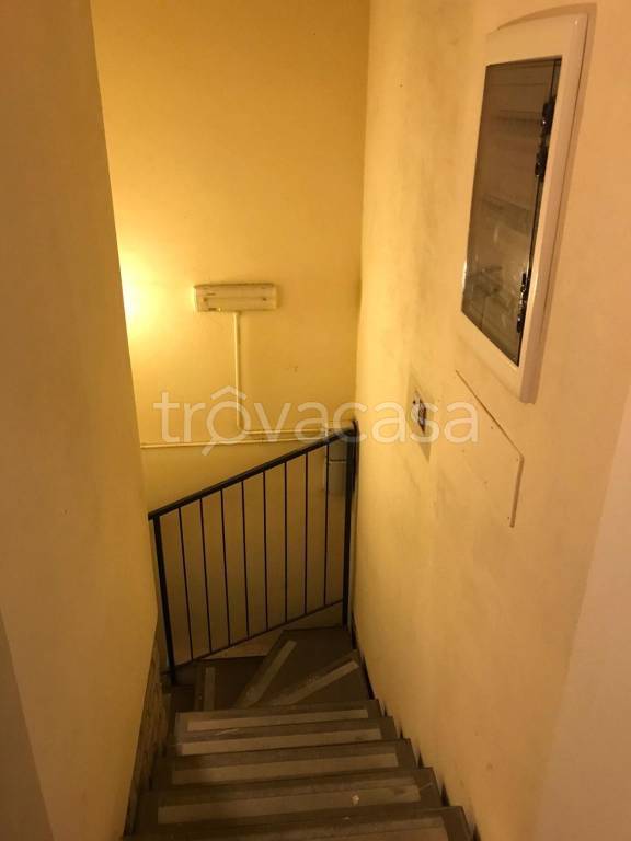 immagine annuncio 11 di 14