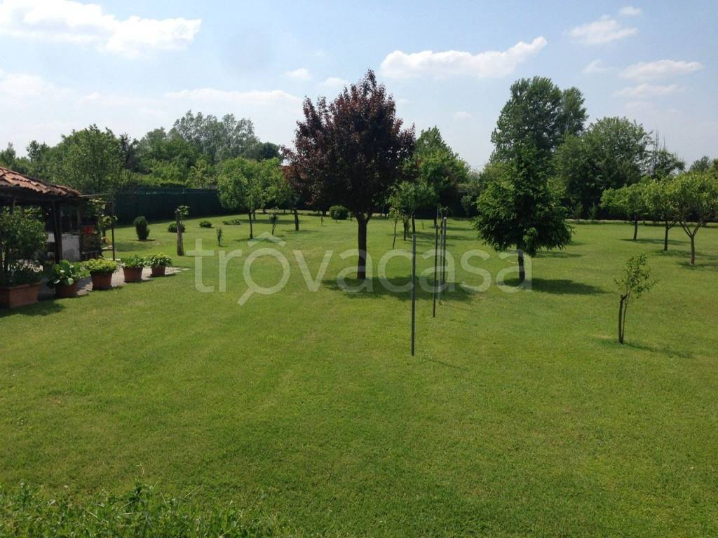 immagine annuncio 4 di 10