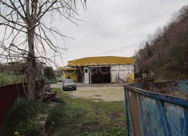 immagine annuncio 9 di 12