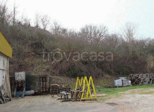 immagine annuncio 11 di 12