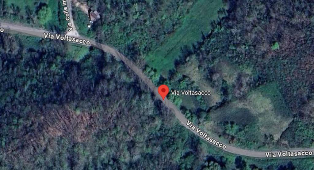 immagine annuncio 3 di 12