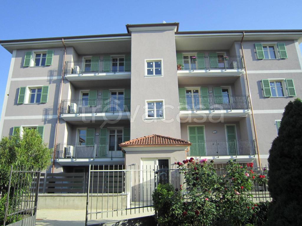 immagine annuncio 1 di 12