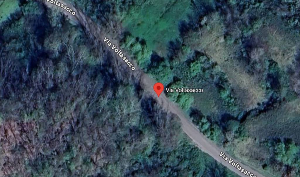 immagine annuncio 4 di 12