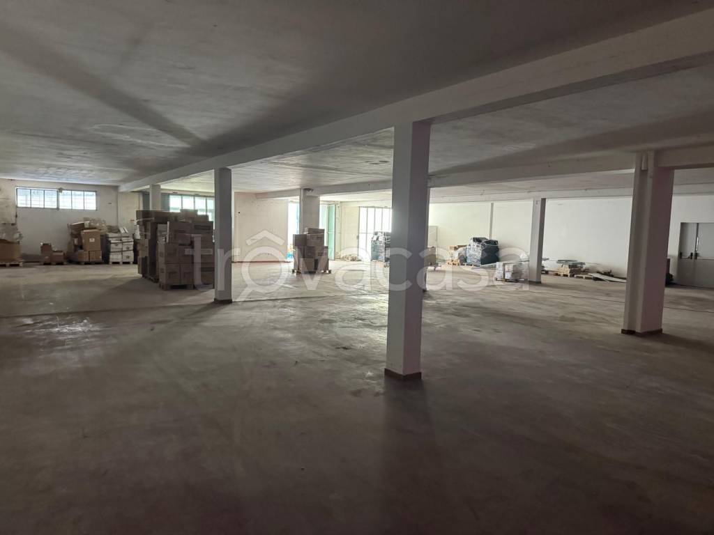 immagine annuncio 3 di 12